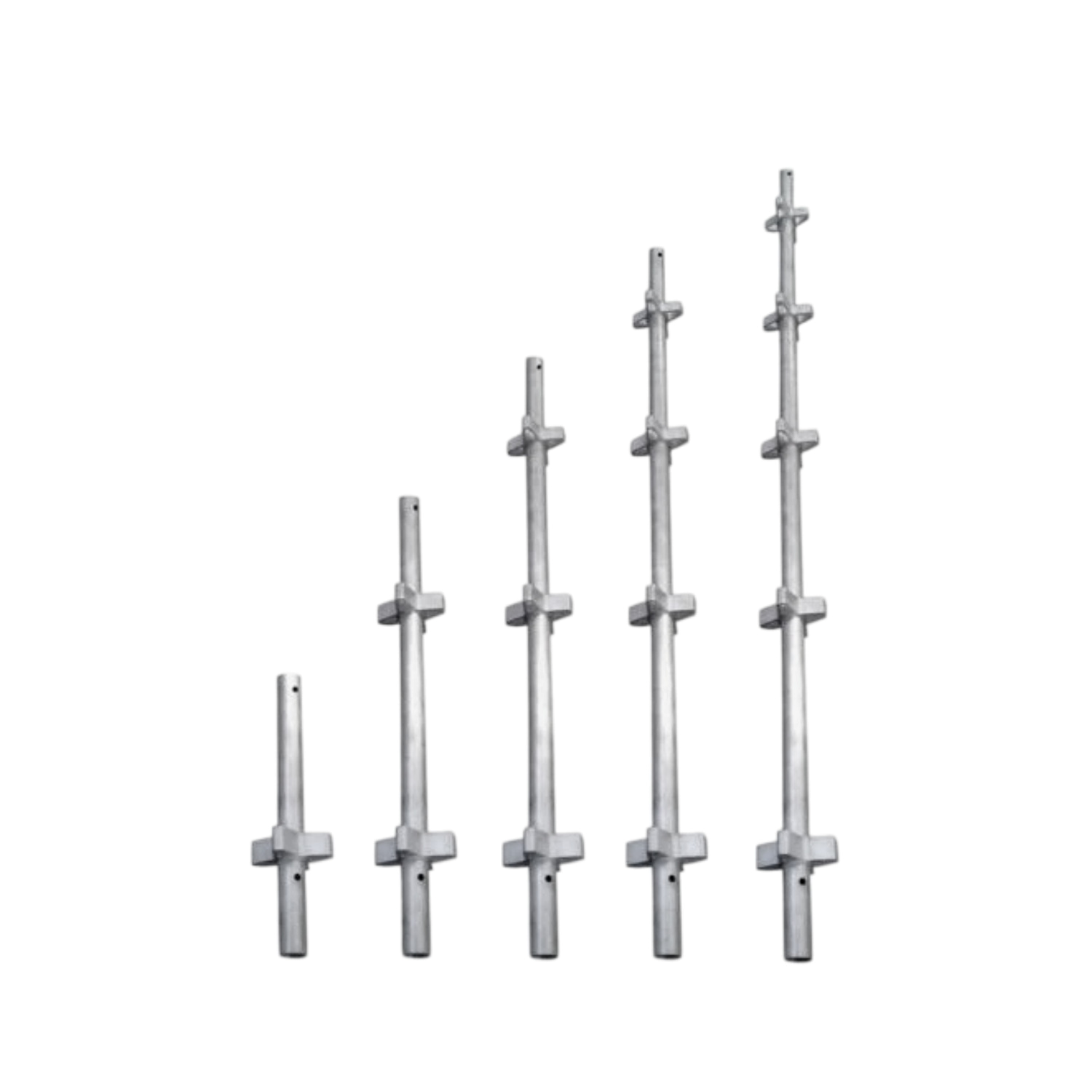 Scaffold Standard