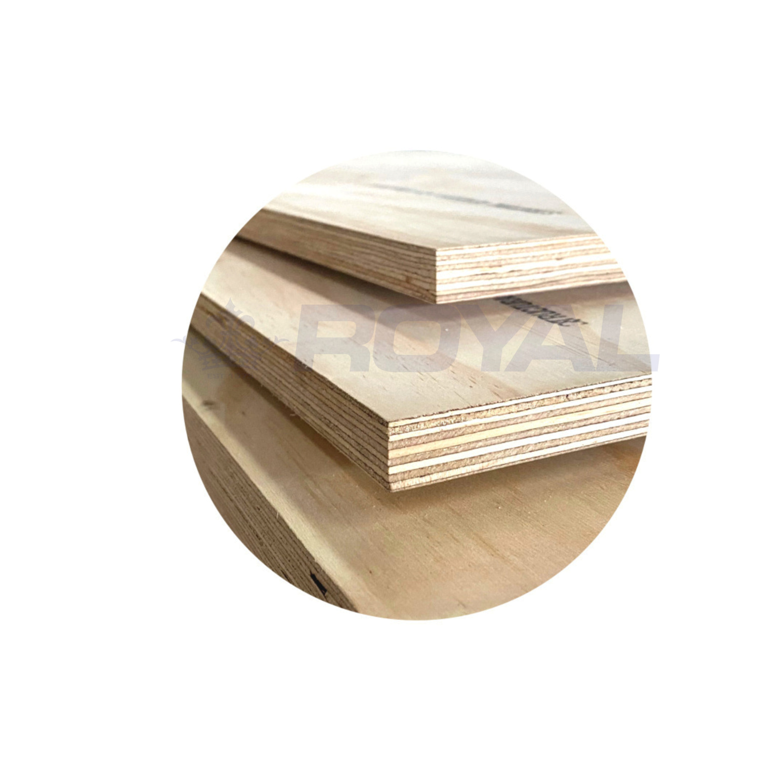 ECONPLY CD
